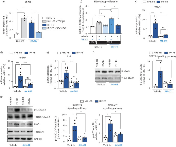Pharmacological inhibition of Epac1 protects against pulmonary fibrosis by blocking FoxO3a neddylation.