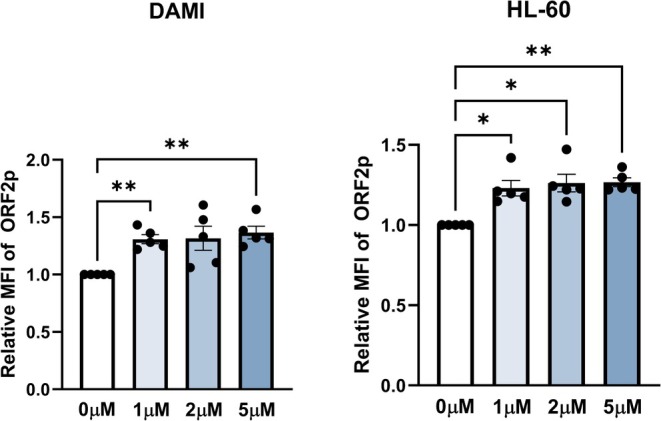 Hypomethylating agents increase L1 retroelement expression without inducing novel insertions in myeloid malignancies.