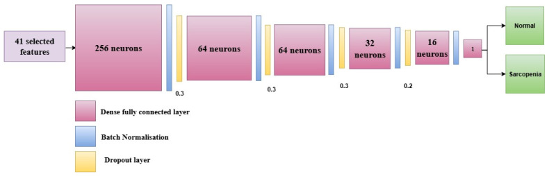 SarcoNet: A Pilot Study on Integrating Clinical and Kinematic Features for Sarcopenia Classification.