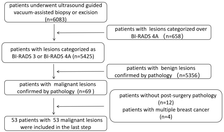 Factors Correlated with Post-Surgery Residual Carcinoma in Cases of Breast Cancer Incidentally Found via Vacuum-Assisted Excision: An Ultrasound Perspective.