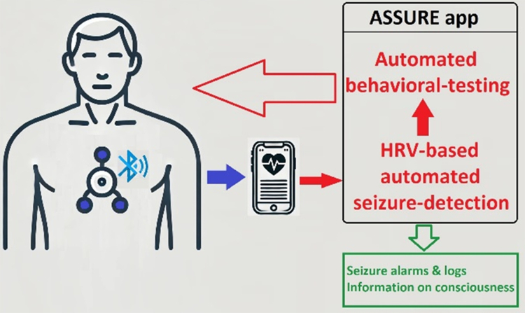 Seizure detection using wearable electrocardiogram connected to a smartphone: a phase 3 clinical validation study.