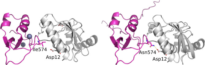 A novel missense variant at the site of interaction between RLIM and E2 ubiquitin-conjugating enzymes causes Tønne-Kalscheuer syndrome.