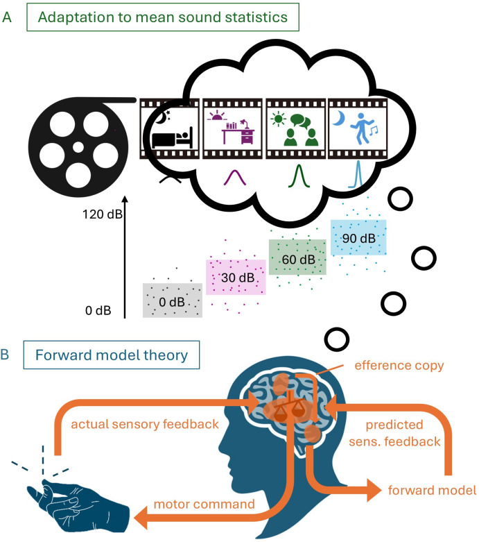 Regression to the mean explains perception of action consequences.