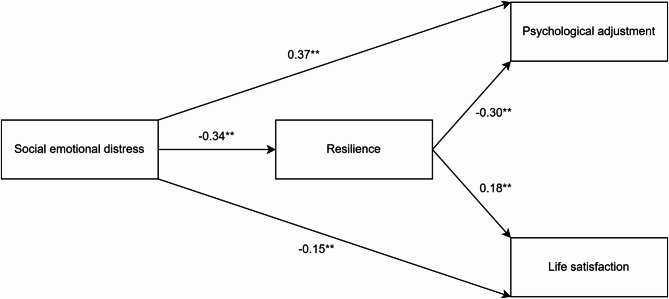 Social emotional distress, psychological adjustment, life satisfaction, and resilience: validation of the Turkish version of the social emotional distress survey-secondary-brief.