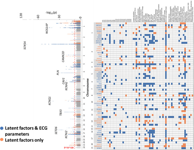 Unsupervised feature extraction using deep learning empowers discovery of genetic determinants of the electrocardiogram.