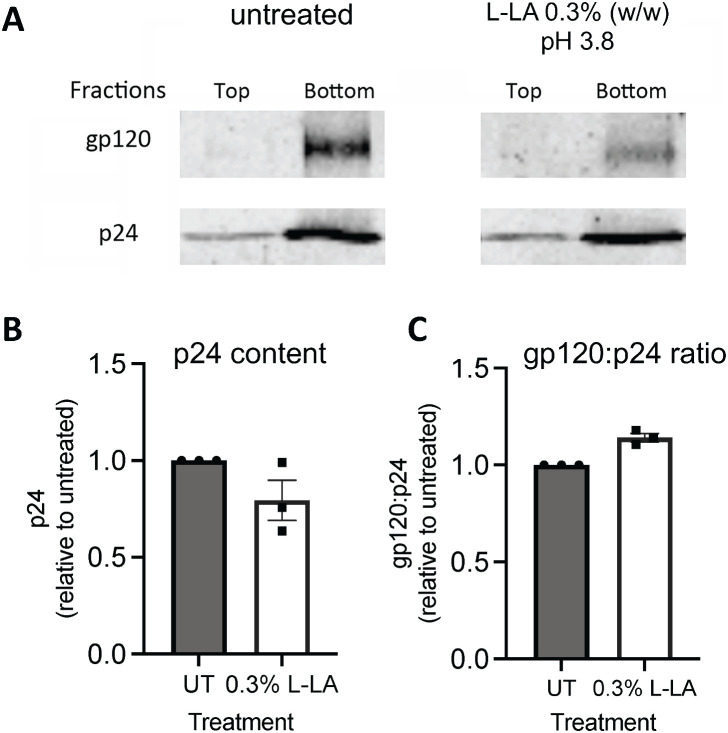 Lactic acid produced by optimal vaginal Lactobacillus spp. potently and specifically inactivates HIV-1 in vitro by targeting the viral RNA genome and reverse transcriptase.