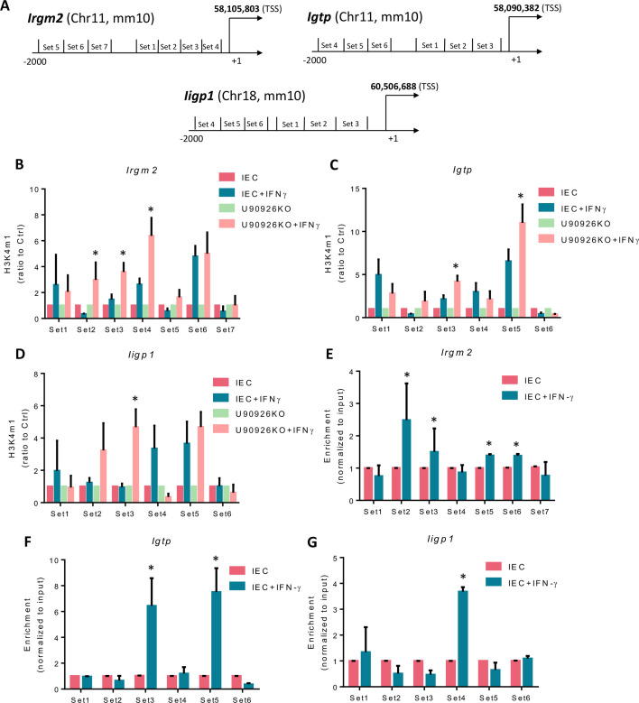 Long non-coding RNA U90926 modulates IFN-γ-stimulated gene transcription and cell-intrinsic anti-<i>Cryptosporidium</i> defense in intestinal epithelial cells.