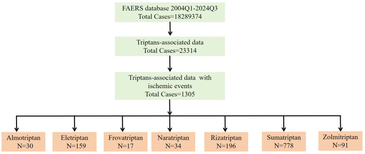 A Pharmacovigilance Study from 2004 to 2024 Utilizing the FDA Adverse Event Reporting System (FAERS) Examines Ischemic Adverse Events Linked to Triptan Use in Migraine Therapy.