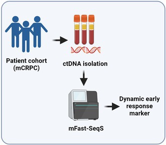 Cell-free DNA aneuploidy score as a dynamic early response marker in prostate cancer.