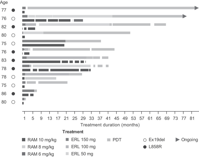 RELAY: safety and efficacy of ramucirumab plus erlotinib in elderly Japanese patients with metastatic <i>EGFR</i>-mutated NSCLC.