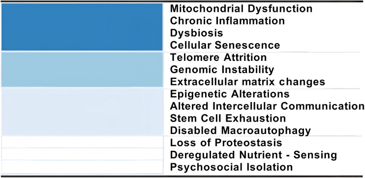The Ambiguous Role of HMGB1 Across the Hallmarks of Aging: A Narrative Review.