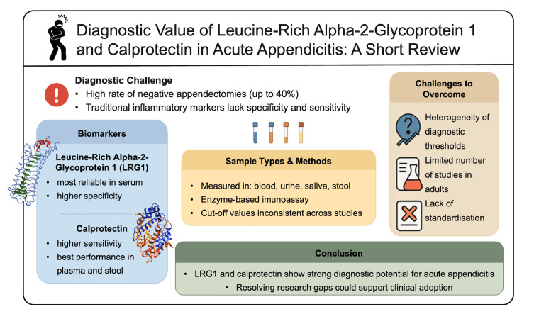 Diagnostic value of leucine-rich alpha-2-glycoprotein 1 and calprotectin in acute appendicitis: a short review.