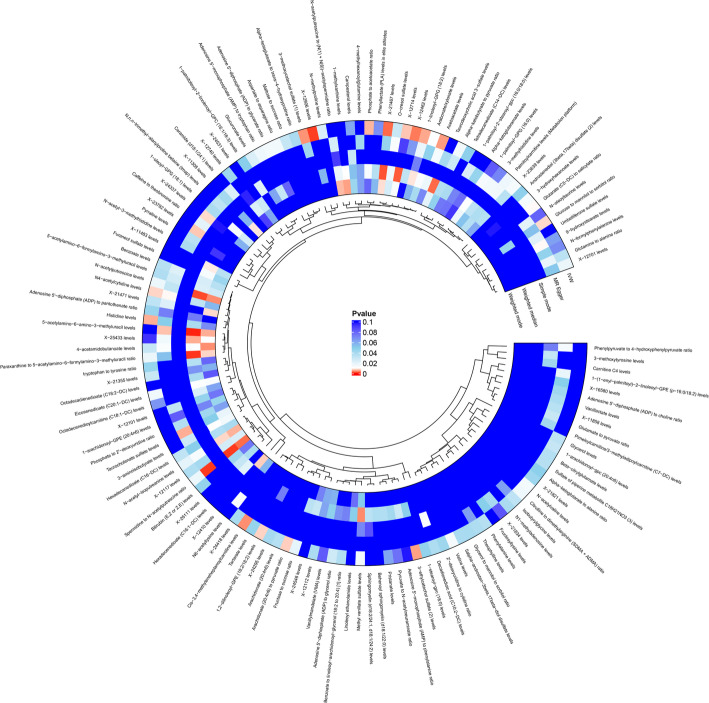 Circulating metabolites and bladder cancer: a Mendelian randomization and multi-omics study.