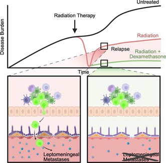 Only the strong survive: therapeutic selective pressure drives medulloblastoma leptomeningeal metastasis.