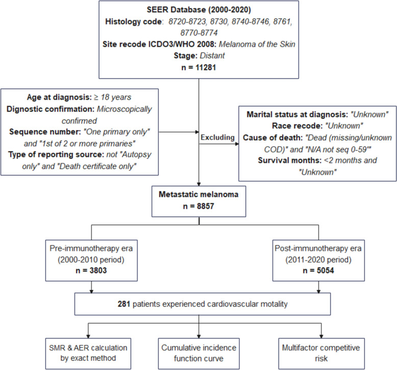 Cardiovascular disease mortality risk among patients with metastatic melanoma before and after the approval of immunotherapy in the United States: a Surveillance, Epidemiology, and End Results database-based study.