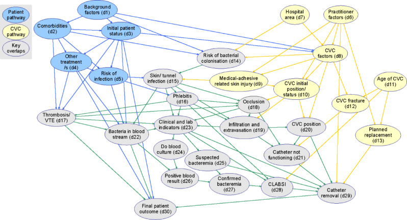 Central venous catheter infections: building a causal model with expert domain knowledge to inform future clinical trials.
