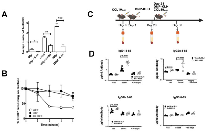 Signaling via C-C Chemokine Ligand 19 and Extracellular Regulated Kinase 5 in T Cells Limits the Humoral Adaptive Immune Response in Mice.