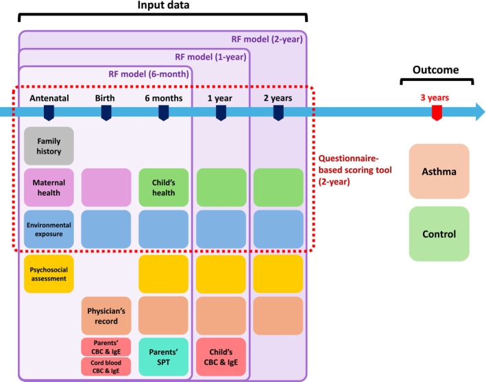 Machine learning-based early prediction of asthma in preschoolers: The COCOA birth cohort study.