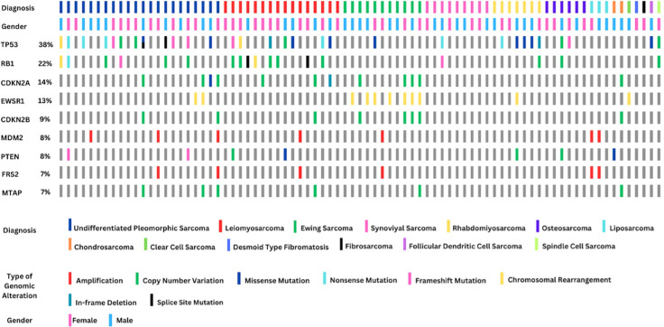 Next-generation sequencing-based genomic profiling of advanced soft tissue and bone sarcomas.