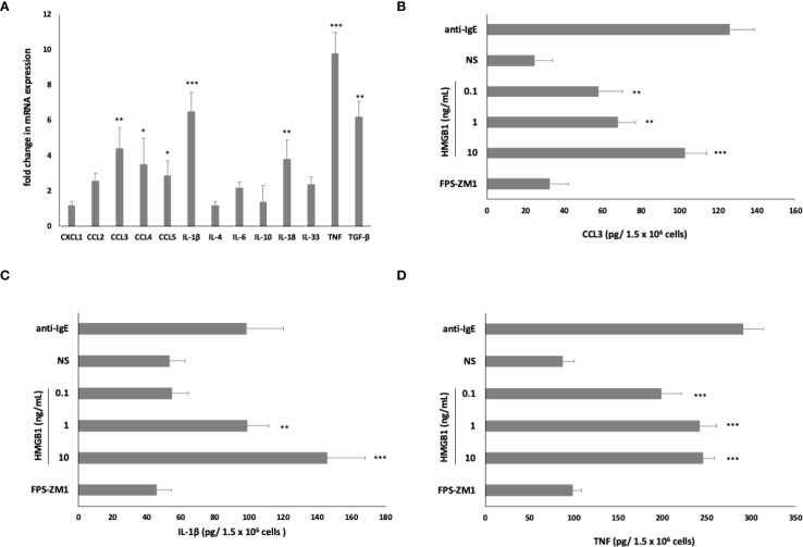 HMGB1-dependent signaling in the regulation of mast cell activity during inflammation.
