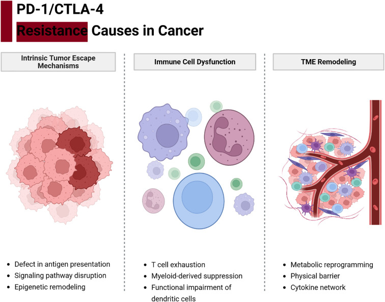 Overcoming resistance to PD-1 and CTLA-4 blockade mechanisms and therapeutic strategies.