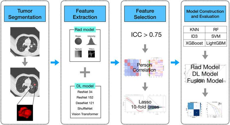 CT-based radiomics and deep learning to predict EGFR mutation status in lung adenocarcinoma.