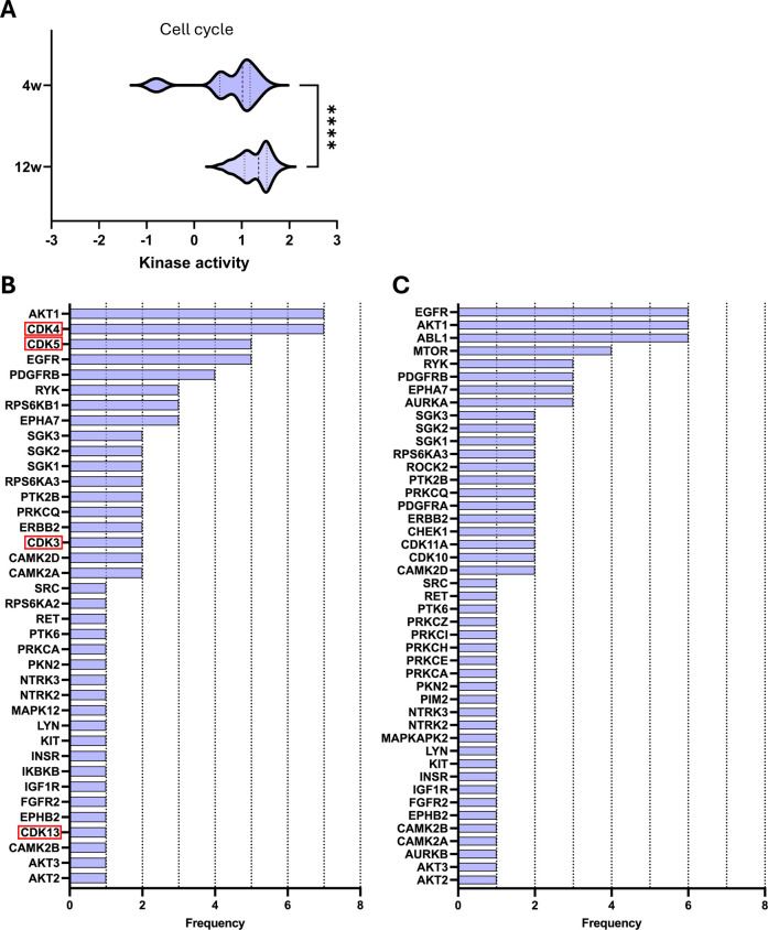 Unbiased kinome profiling identifies key and novel mediators of chronic kidney disease in hyperlipidemic mice.