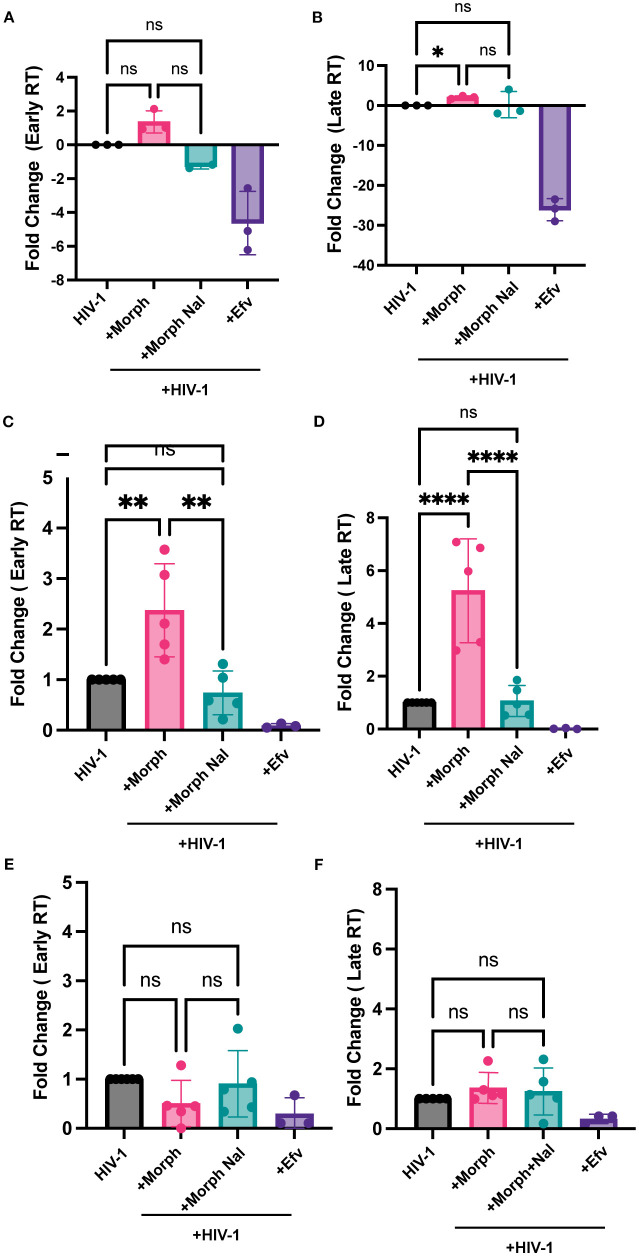 Mu opioid receptor activation in microglia enhances HIV-1 infection and HIV-infection-induced inflammatory responses.