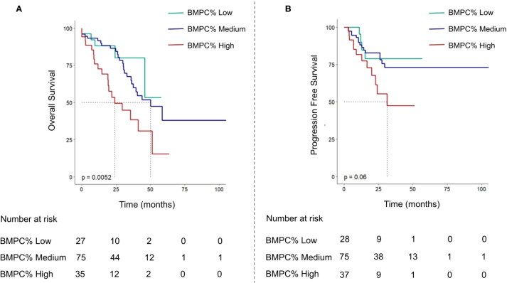 Improvement of revised international staging system risk stratification in patients with newly diagnosed multiple myeloma using a high bone marrow plasma cell percentage: a real-world study in China.