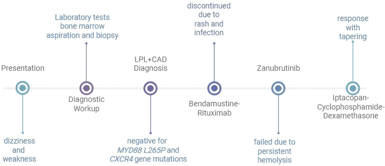Iptacopan for cold agglutinin disease: a case report with literature review.