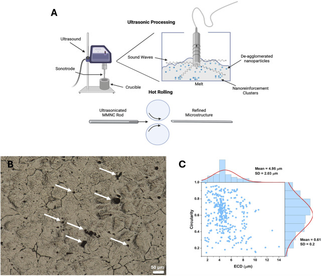 <i>In vitro</i> and <i>in vivo</i> biodegradation and biocompatibility assessment of magnesium composites for bone implants.
