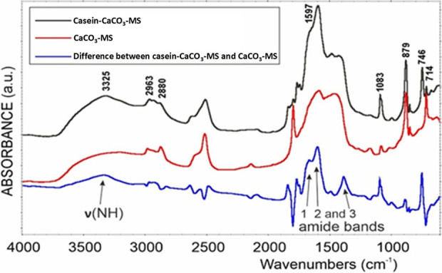 Casein-assisted biomineralization of calcium carbonate microspheres for enhanced surface and adsorption properties.