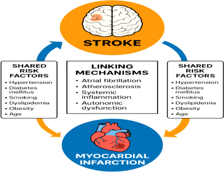 Decoding the link between ischemic stroke and myocardial infarction: a pathophysiological and clinical perspective.