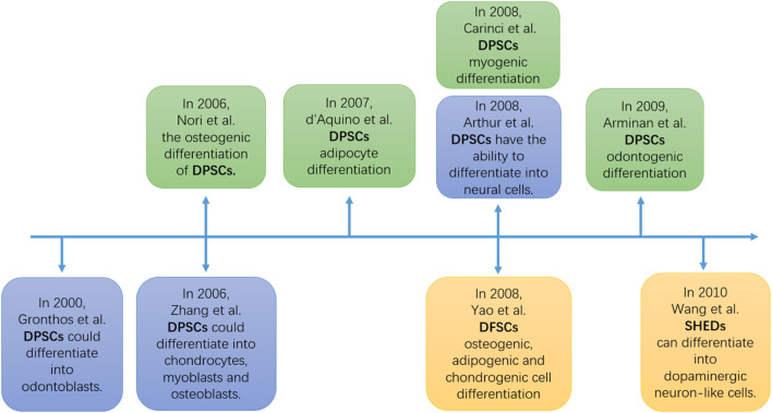 The application of dental mesenchymal stem cells (DMSCs) in the repair of oral and maxillofacial defects.