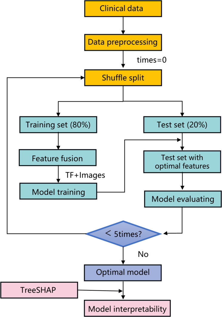 An interpretable multimodal machine learning model for predicting malignancy of thyroid nodules in low-resource scenarios.