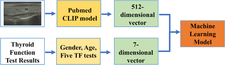 An interpretable multimodal machine learning model for predicting malignancy of thyroid nodules in low-resource scenarios.