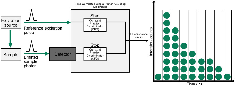 Predicting immune checkpoint inhibitors response via fluorescence lifetime imaging microscopy: a systematic review.