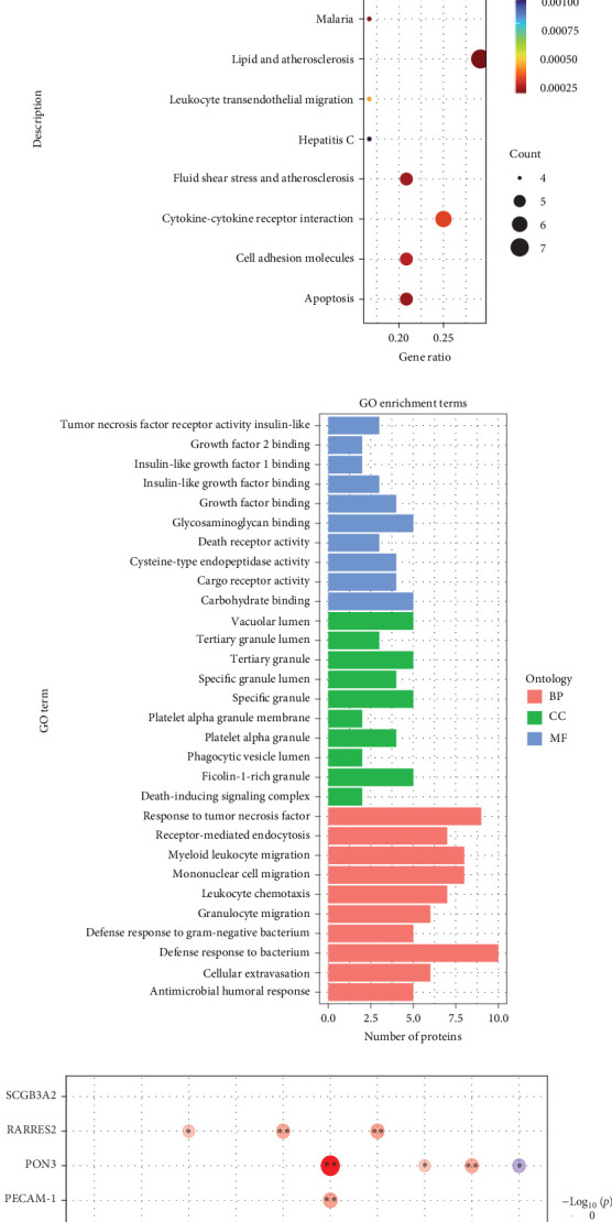 Integration of Proteomic and Lipidomic Analysis Reveals Potential Markers of Insulin Resistance in Young Children With Obesity.