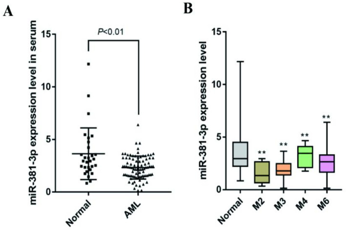 The expression of miR-381-3p in acute myeloid leukemia and its effect on corresponding cell proliferation and apoptosis.