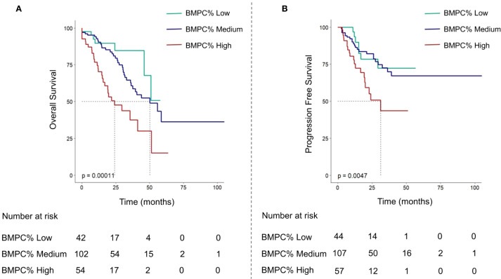 Improvement of revised international staging system risk stratification in patients with newly diagnosed multiple myeloma using a high bone marrow plasma cell percentage: a real-world study in China.