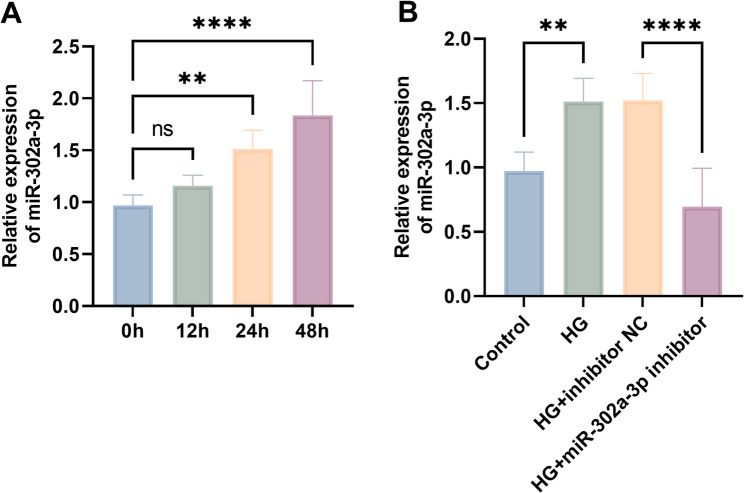 Dysregulation of miR-302a-3p in diabetic nephropathy and its role in inflammatory response.