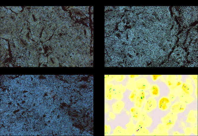 Abstract Image