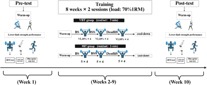 The effect of velocity-based resistance training (VBT) on lower-limb strength performance in male collegiate boxers: a randomized controlled trial.