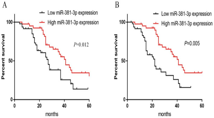 The expression of miR-381-3p in acute myeloid leukemia and its effect on corresponding cell proliferation and apoptosis.