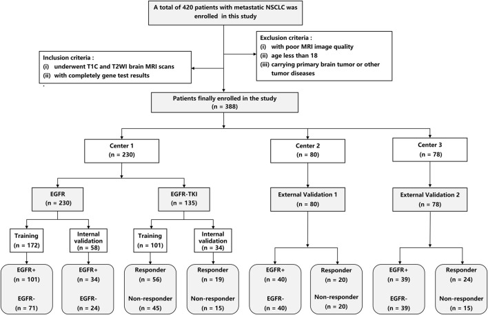 Deep learning on brain metastasis for predicting EGFR genotype and EGFR-TKI therapy response in metastatic NSCLC: a multicenter study.