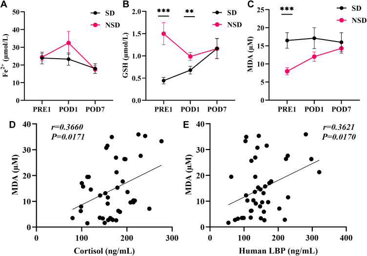 Effect of Preoperative Sleep Disorders on Postoperative Enteral Nutrition Intolerance in Patients with Digestive Tract Tumors: A Prospective Cohort Study.