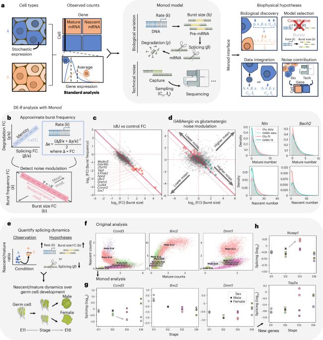 Monod: model-based discovery and integration through fitting stochastic ...