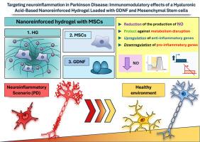 Targeting neuroinflammation in Parkinson's disease: Immunomodulatory effects of a hyaluronic acid-based nanoreinforced hydrogel loaded with GDNF and mesenchymal stem cells