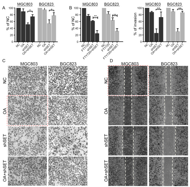 [Corrigendum] Overexpression of SET oncoprotein is associated with tumor progression and poor prognosis in human gastric cancer.