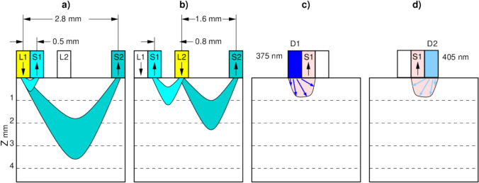 Diffuse reflectance and fluorescence spectroscopy for breast conserving surgery.